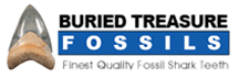 Buriedtreasurefossils – Home Three